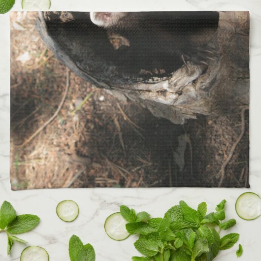 Frettchen-Gesicht Geschirrtuch (Gefaltet)