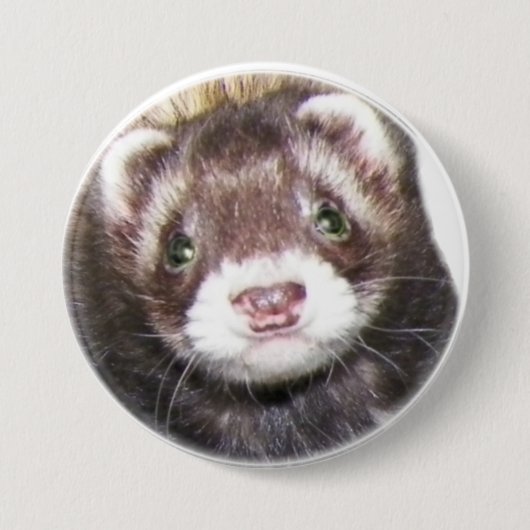 Frettchen-Gesichts-Bild Button (Vorderseite)