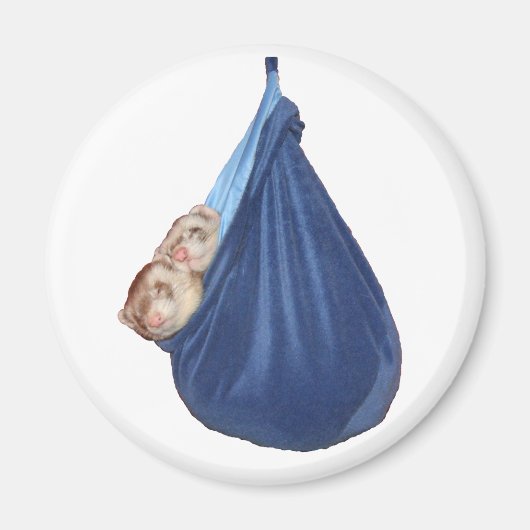 Frettchen in einem Schlafsäckchen Magnet (Vorne)