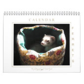 Frettchen-Kalender-1. Ausgabe Kalender (Titelbild)