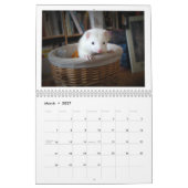 Frettchen-Kalender-1. Ausgabe Kalender (Mär 2027)