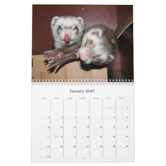 Frettchen-Kalender 2011 Kalender (Jan 2027)