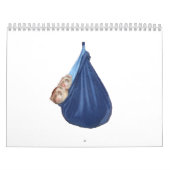 Frettchen-Kalender 2011 Kalender (Titelbild)