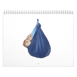 Frettchen-Kalender 2011 Kalender