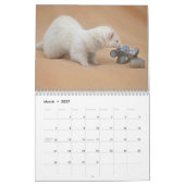 Frettchen-Kalender - 3 - Kalender (Mär 2027)