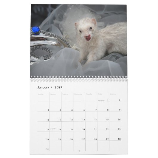 Frettchen-Kalender - 3 - Kalender (Jan 2027)