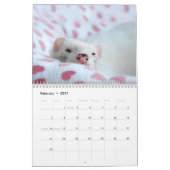 Frettchen-Kalender - 3 - Kalender (Feb 2027)