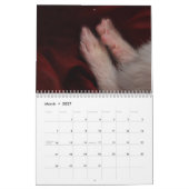 Frettchen-Kalender - 4 - Kalender (Mär 2027)