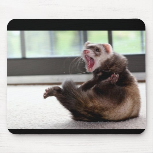 Frettchen Mousepad (Vorne)