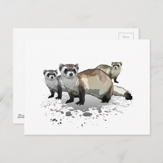 Frettchen Postkarte (Vorne/Hinten)