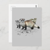 Frettchen Postkarte (Vorne/Hinten)