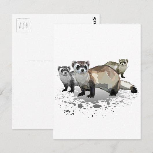 Frettchen Postkarte (Vorne/Hinten)