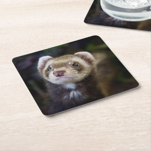 Frettchen Rechteckiger Pappuntersetzer (angewinkelt)