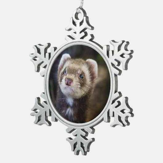 Frettchen Schneeflocken Zinn-Ornament (Rechts)