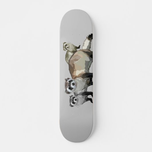 Frettchen Skateboard (Vorne)