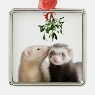 Frettchen Smooches Verzierung Silbernes Ornament