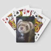 Frettchen Spielkarten (Rückseite)