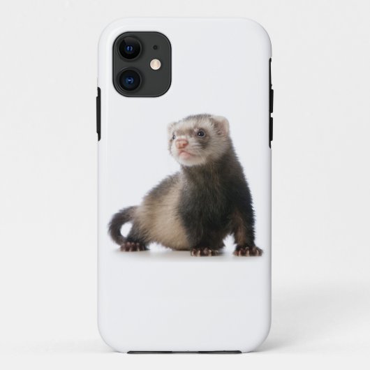 Frettchen-Telefonabdeckung Case-Mate iPhone Hülle (Rückseite)
