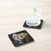 Frettchen Untersetzer (Rechte Seite)