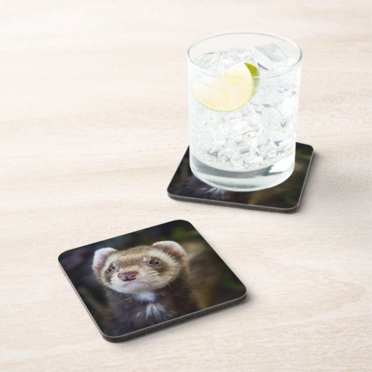 Frettchen Untersetzer (Rechte Seite)