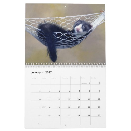 Frettchen-Wandkalender Kalender (Jan 2027)