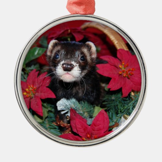 Frettchen-Weihnachten Oranment Silbernes Ornament (Vorne)