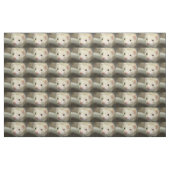 Frettchengesicht Stoff (Fat Quarter (45,7 x 55,9 cm))