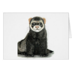 Frettest Spaß!