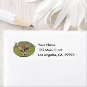 Freude am Laufen im Gras (Insitu)