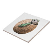 FREUDE AN DER GEBURT FLIESE (Seite)