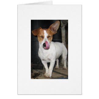 Freude, die sie Hiebe leckt