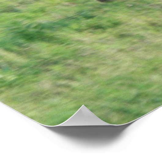 Freude Poster (Ecke)