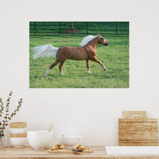 Freude Poster (Küche)