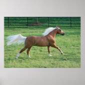 Freude Poster (Vorne)