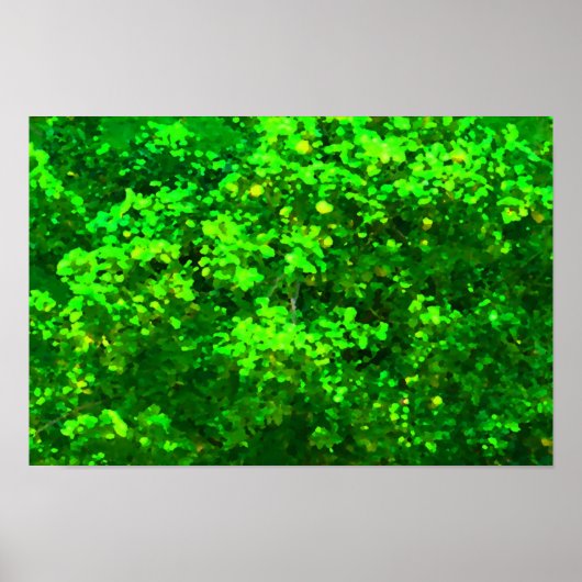 Freude Poster (Vorne)