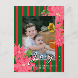 Freude Weihnachten Poinsettie Foto Rot Grün