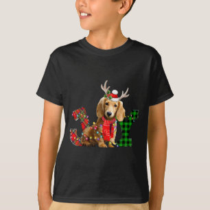 Freude Weihnachtslichter Langhaar-Dachshund-Hund S T-Shirt