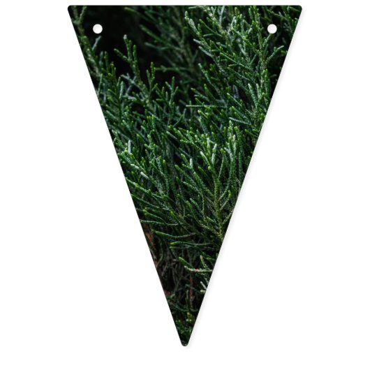 Freude zu den Weltgrünflaggen-Fahnenflaggen Wimpelkette (Dritte Fahne)