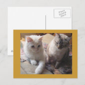 Freudenfreunde Postkarte (Vorne/Hinten)