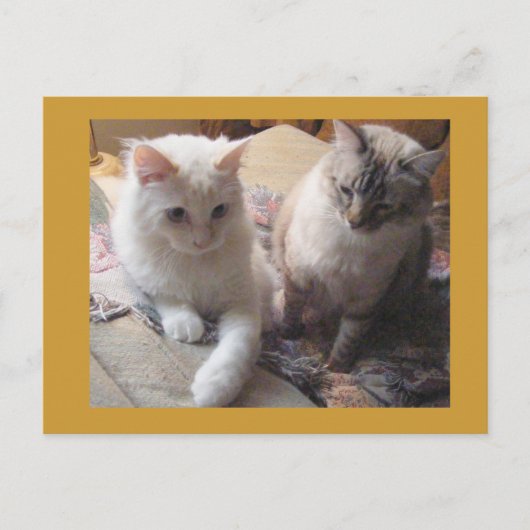 Freudenfreunde Postkarte (Vorderseite)