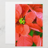 Freudenurlaub_ Briefpapier (Vorne/Hinten)