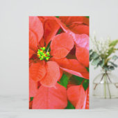 Freudenurlaub_ Briefpapier (Stehend Vorderseite)