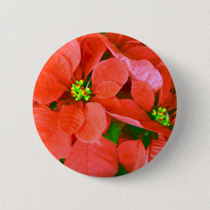 Freudenurlaub_ Button