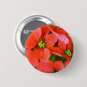 Freudenurlaub_ Button (Vorne & Hinten)