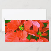 Freudenurlaub_ Feiertagskarte (Vorne/Hinten)