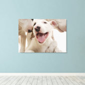 Freudful Bull Terrier Leinwanddruck (Insitu (Holzboden))