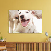 Freudful Bull Terrier Leinwanddruck (Insitu (Wohnzimmer))