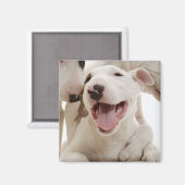 Freudful Bull Terrier Magnet (Vorderseite/Rückseite)
