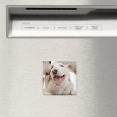 Freudful Bull Terrier Magnet (In Situ (Geschirrspüler))