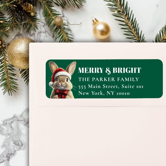 FREUE Weihnachten! Adorable, Kaninchen, Weihnachts